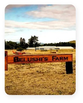 belushisfarm