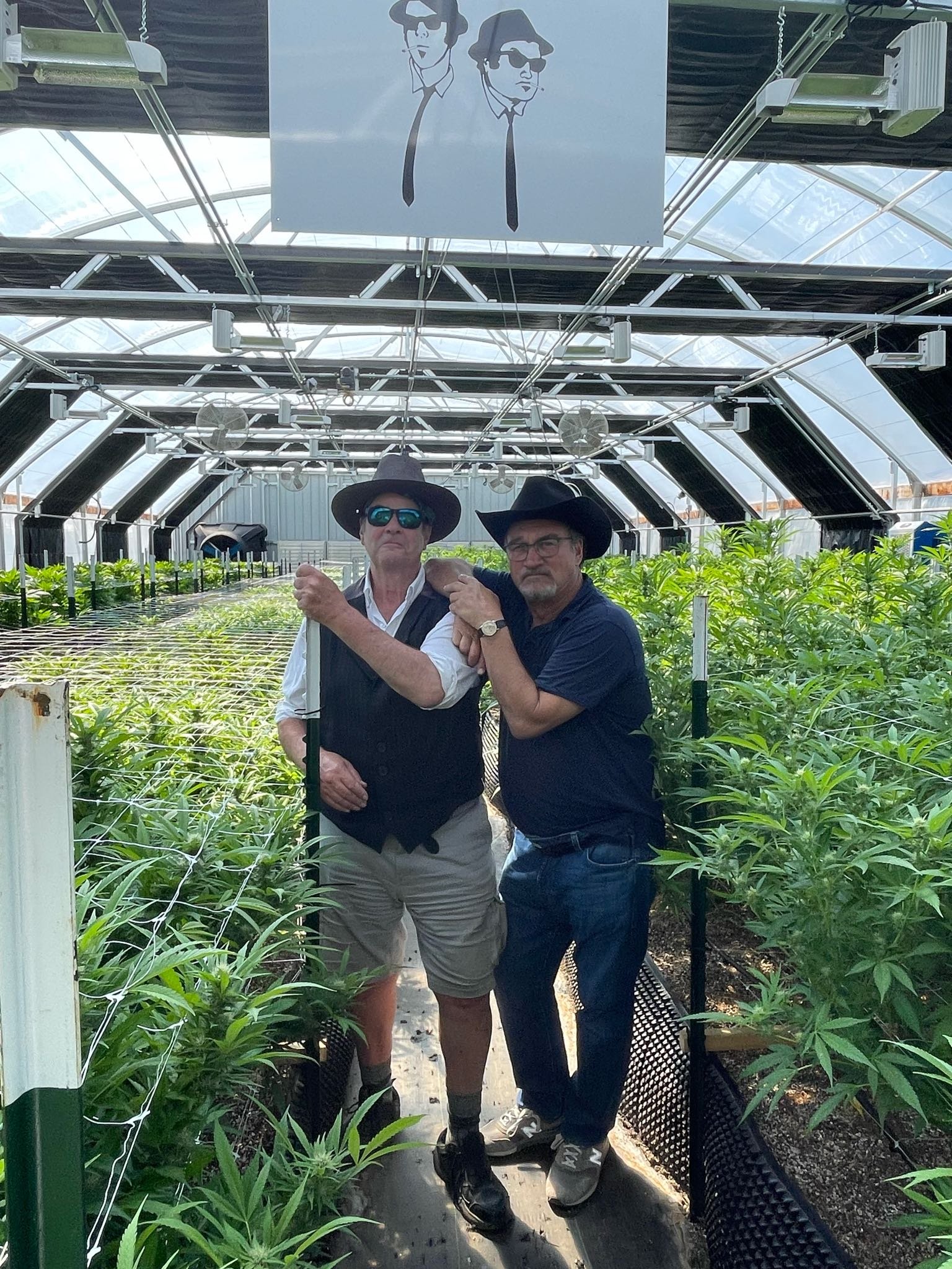 BTS_Growing_Belushi_Season