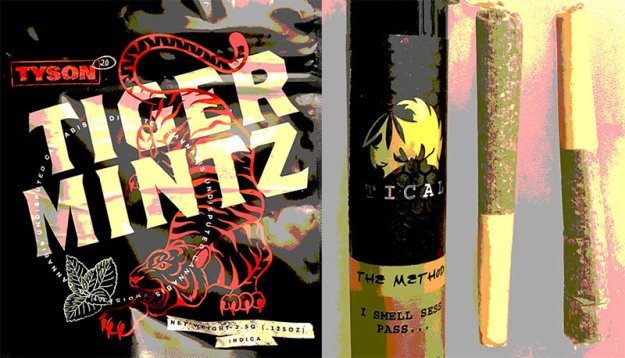 Celebrity Brands Arrive in New York