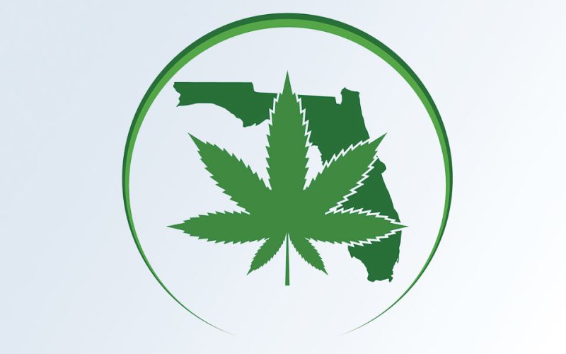 florida-cannabis